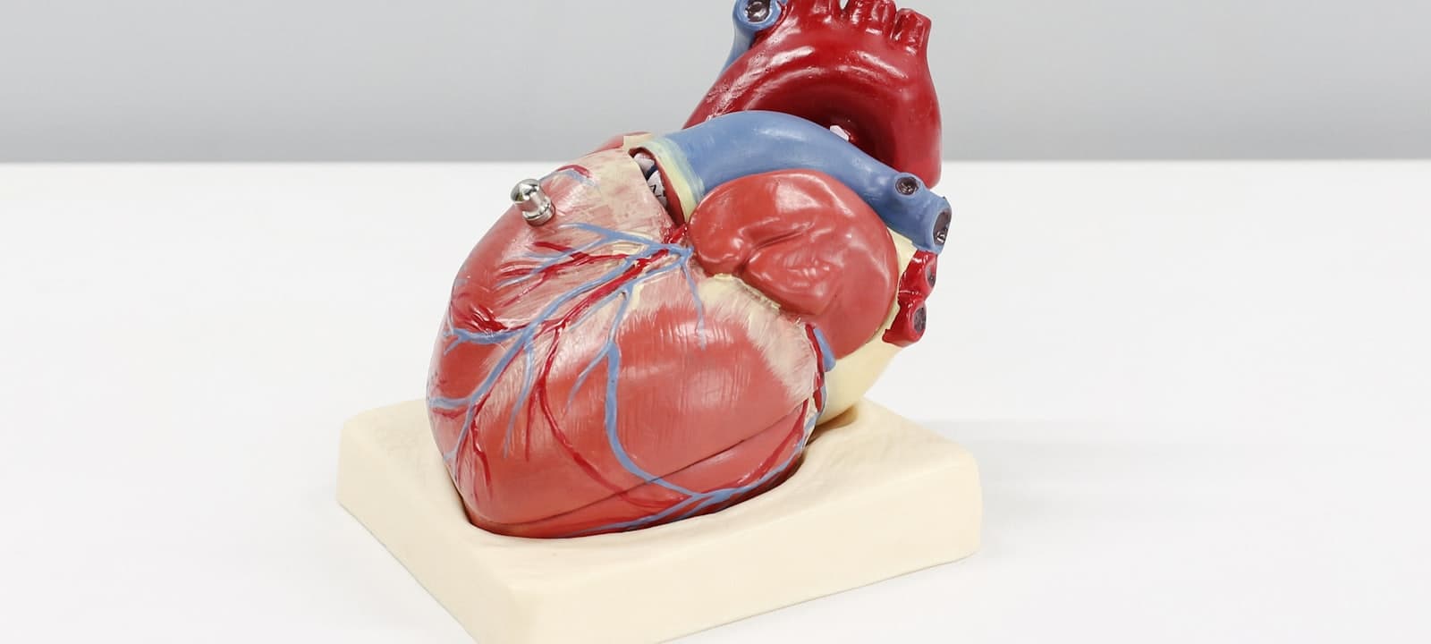 Cardiac Surgery in India